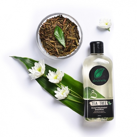 Buy Zenutrients Tea Tree Scalp Treatment Shampoo 250ml online at Shopcentral Philippines.