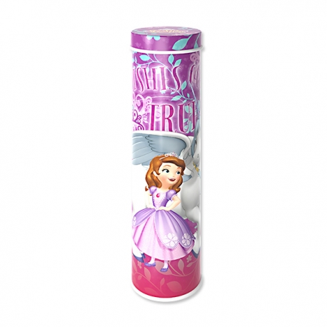 Buy Sterling Sofia the First Tubular Pencil Case online at Shopcentral Philippines.