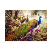 Buy Paint by Number Kit 16"x 20" Peackock online at Shopcentral Philippines.