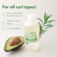 Curls by Zenutrients Avocado & Tea Tree Sulfate-Free Shampoo 1 Liter