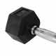 Elite Rubber Hex Dumbbell 10LBS  - 1pc (Pre-order 7 working days)