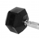 Elite Rubber Hex Dumbbell 35LBS  - 1pc (Pre-order 7 working days)