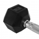 Elite Rubber Hex Dumbbell 15LBS - 1pc (Pre-order 7 working days)