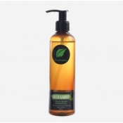 Buy Zenutrients Green Tea Blend Massage Oil 250ml online at Shopcentral Philippines.