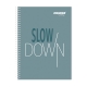 Set of 10 Orions Straight Line Spiral Notebook 80 Leaves