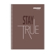 Set of 10 Orions Straight Line Spiral Notebook 80 Leaves