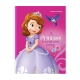 Set of 10 Orions Sofia the First Writing Notebook 80 Leaves