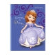 Set of 10 Orions Sofia the First Writing Notebook 80 Leaves