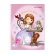 Set of 10 Orions Sofia the First Writing Notebook 80 Leaves