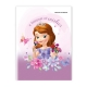 Set of 10 Orions Sofia the First Writing Notebook 80 Leaves
