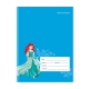Set of 10 Orions Disney Princess Color Coding Writing Notebook 80 Leaves
