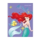 Set of 10 Orions Disney The Little Mermaid Writing Notebook 80 Leaves