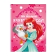 Set of 10 Orions Disney The Little Mermaid Writing Notebook 80 Leaves