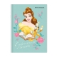 Set of 10 Orions Disney Princess Writing Notebook 80 Leaves