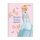 Set of 10 Orions Disney Princess Writing Notebook 80 Leaves