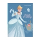Set of 10 Orions Disney Princess Writing Notebook 80 Leaves