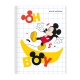 Set of 10 Orions Disney Mickey & Minnie Writing Notebook 80 Leaves
