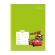 Set of 10 Orions Disney Pixar Cars Color Coding Writing Notebook 80 Leaves