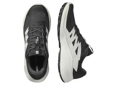 Salomon Alphaglide