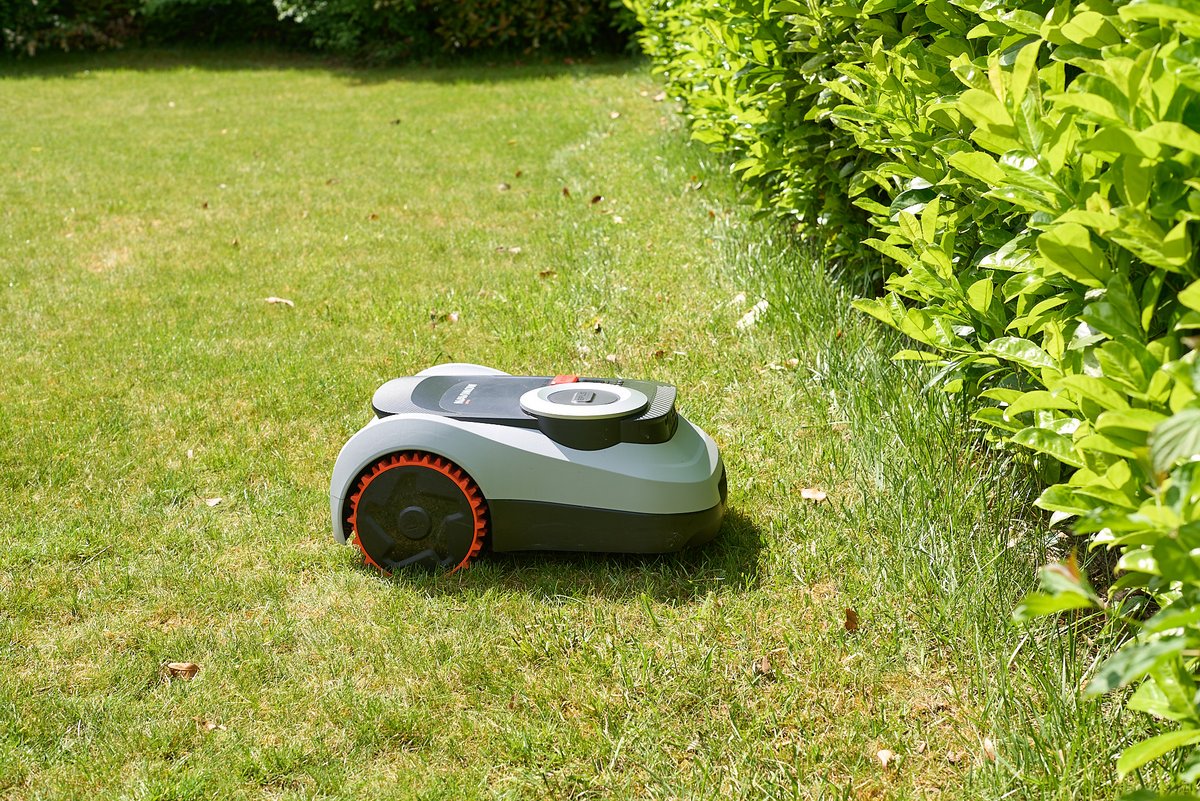 It doesn’t get much closer to the hedge in mowing mode, staying about 20 cm away in edging mode © Marc Beekenkamp for Clubic