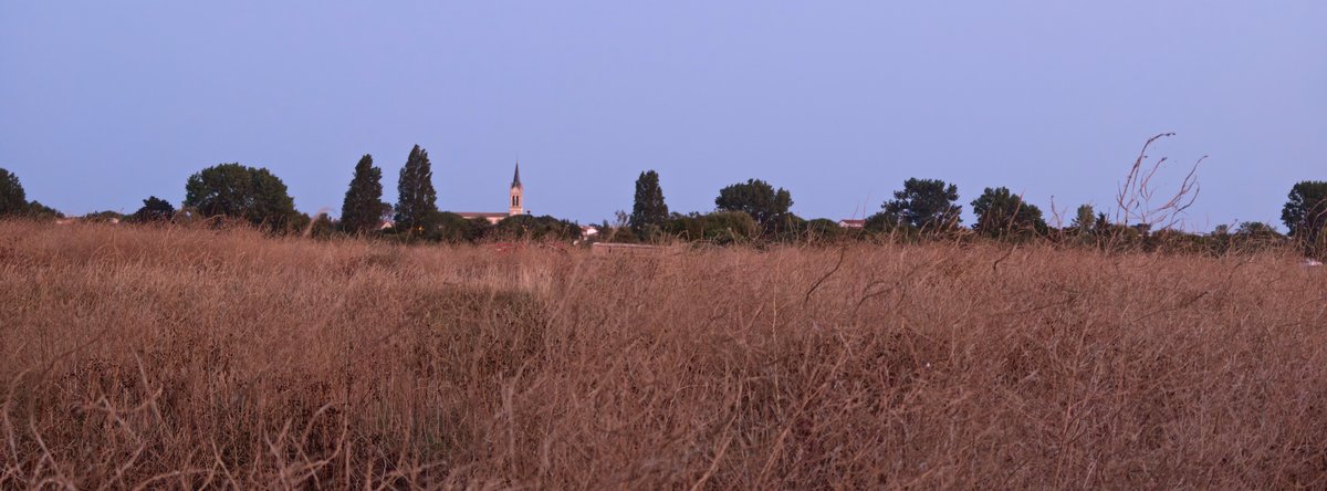 Find X9 Ultra has an XPan mode producing panoramas in the 65:24 format