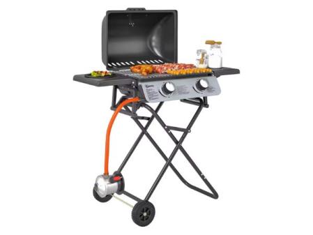 Gas barbecue with 2 stainless steel burners
