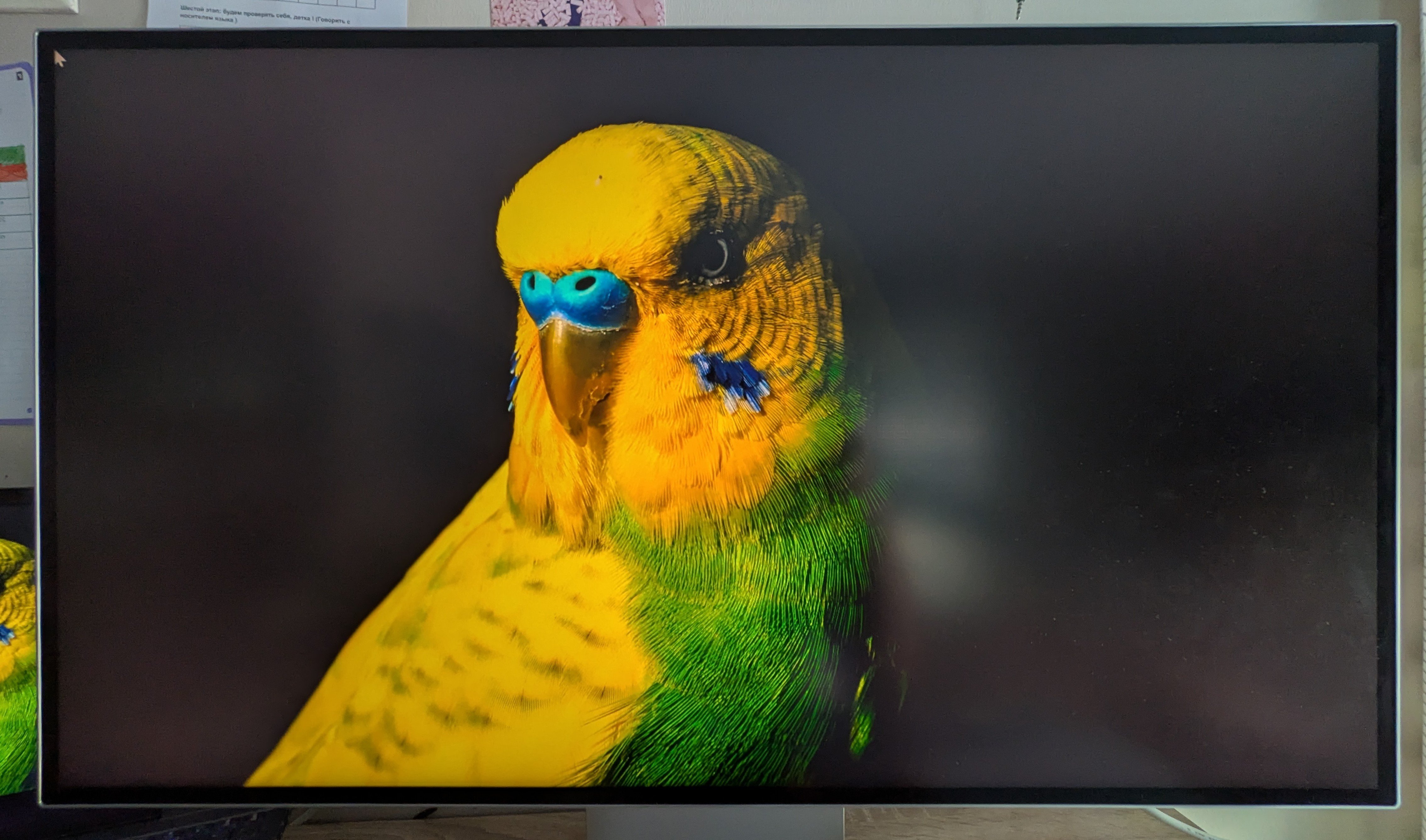 Le rendu vidéo est particulièrement saisissant avec les bons réglages © Vincent Touveneau pour Clubic 