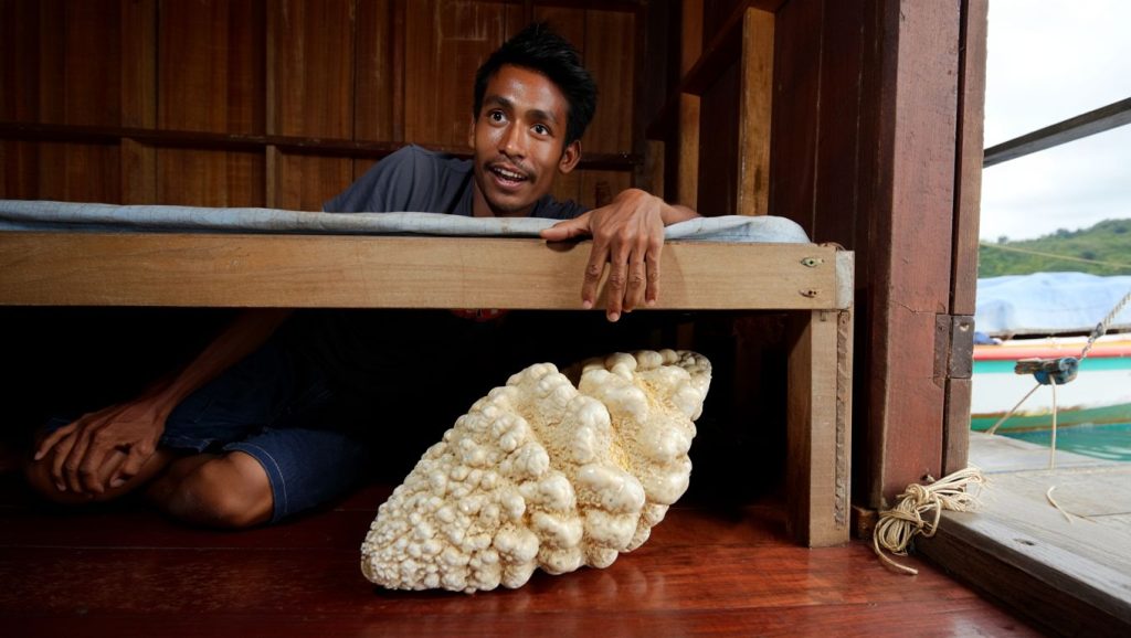 Filipino fisherman kept a pearl under his bed for 10 years — it could be worth $100 million