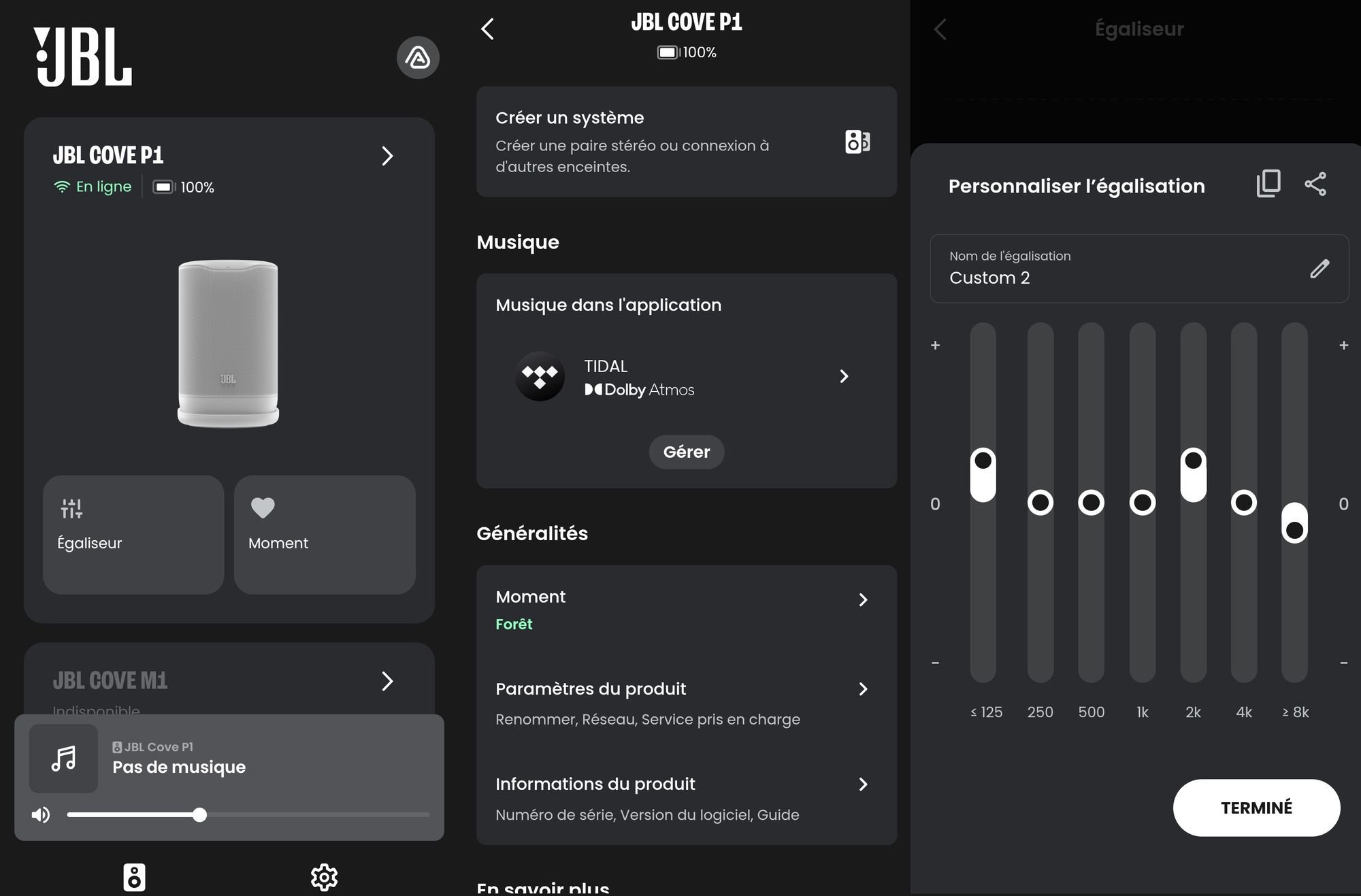 L'application JBL One n'est sans doute pas aussi riche que son équivalent de chez Sonos, mais selon nous plus intuitive